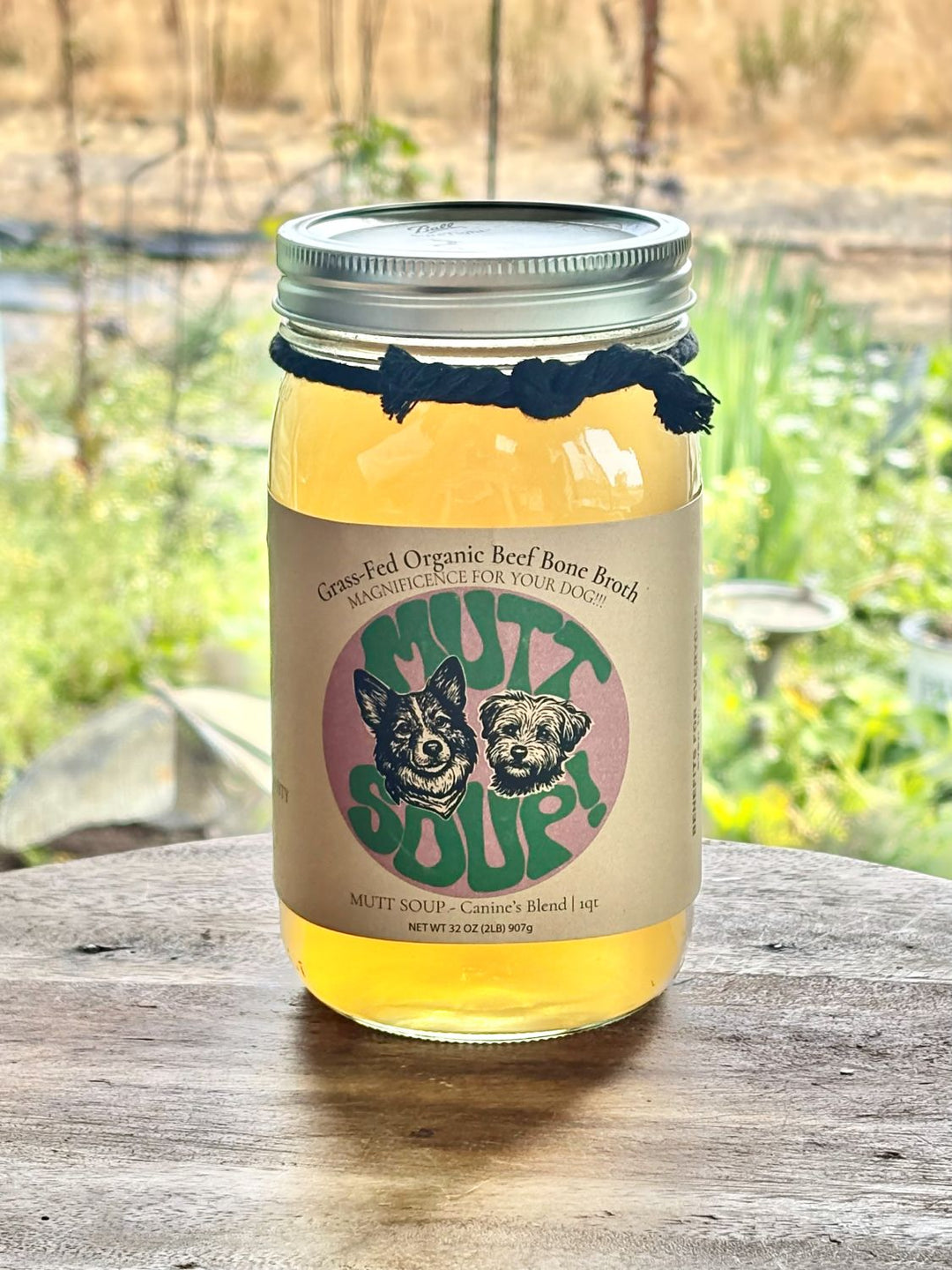 Mutt Soup: For the Dogs