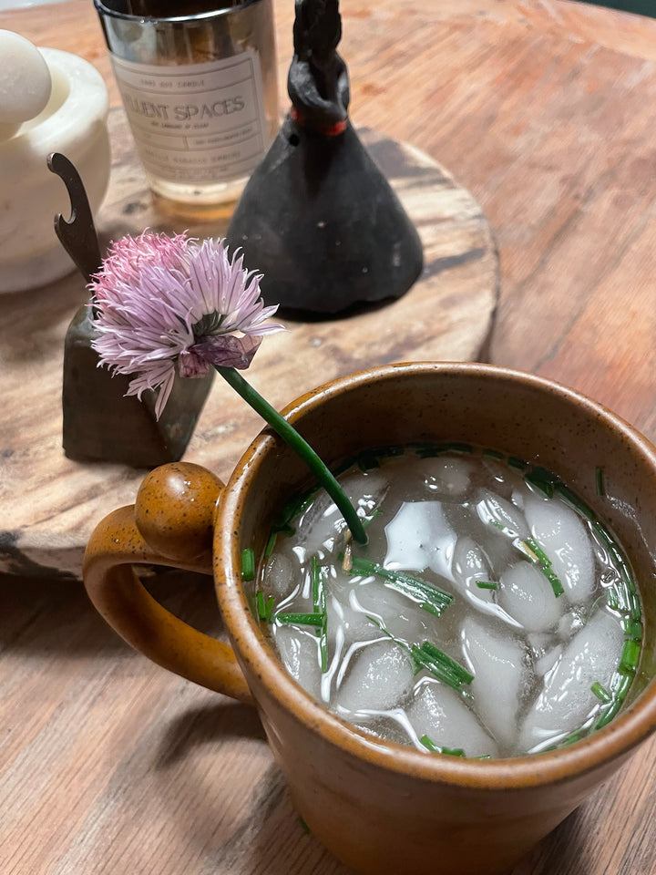 Healing Bone Broth