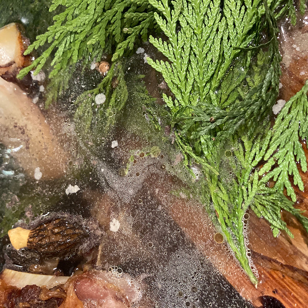 'Sacred Bison' Bone Broth
