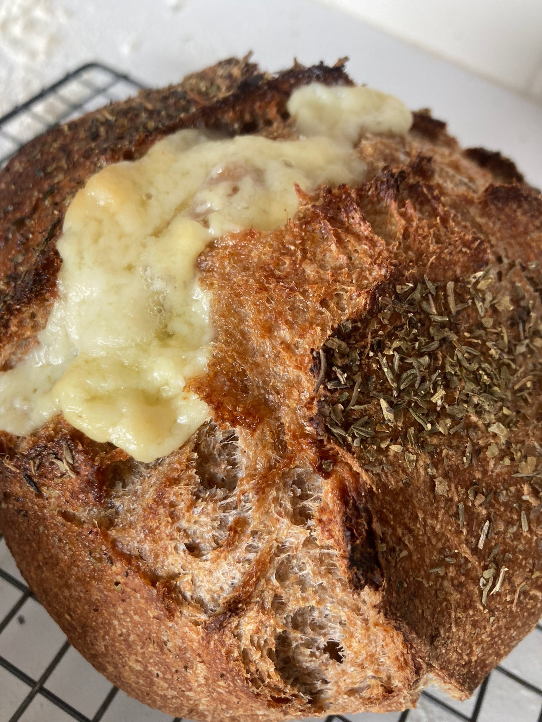 100% ORGANIC Whole Wheat Dehydrated Sourdough Starter