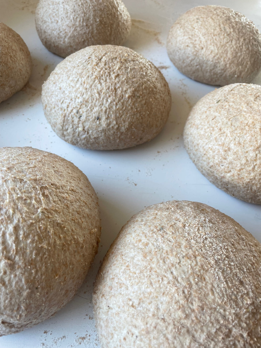 100% ORGANIC Whole Wheat Dehydrated Sourdough Starter