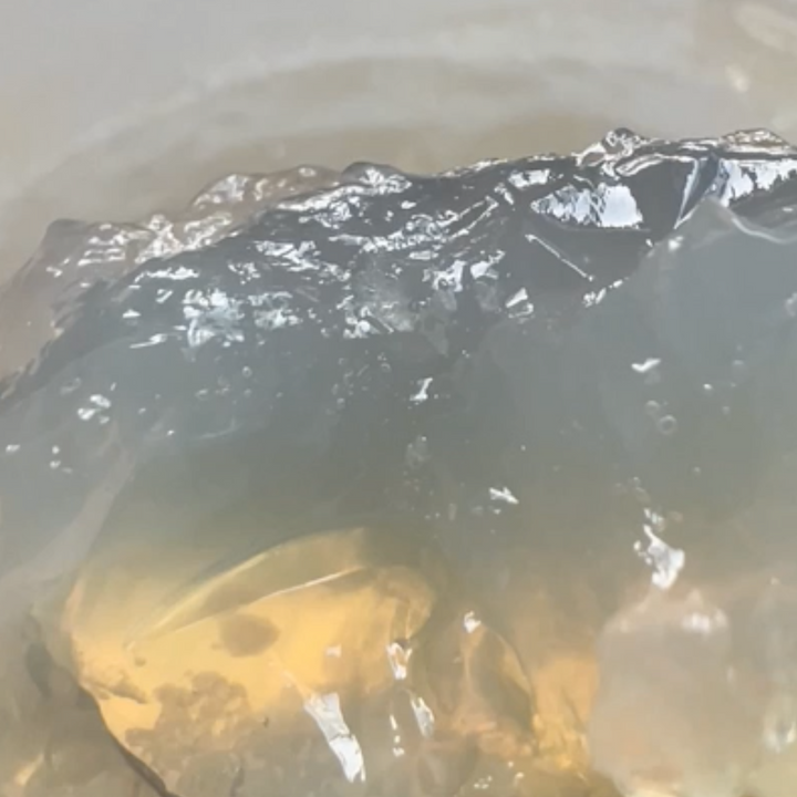'Bone Jelly' Concentrated Bone Broth