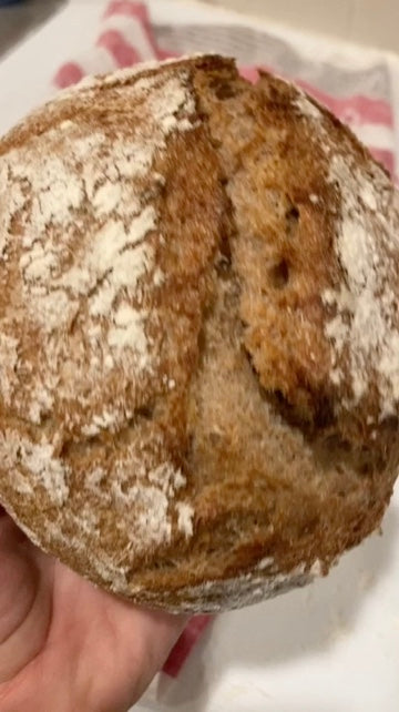 100% ORGANIC Whole Wheat Dehydrated Sourdough Starter