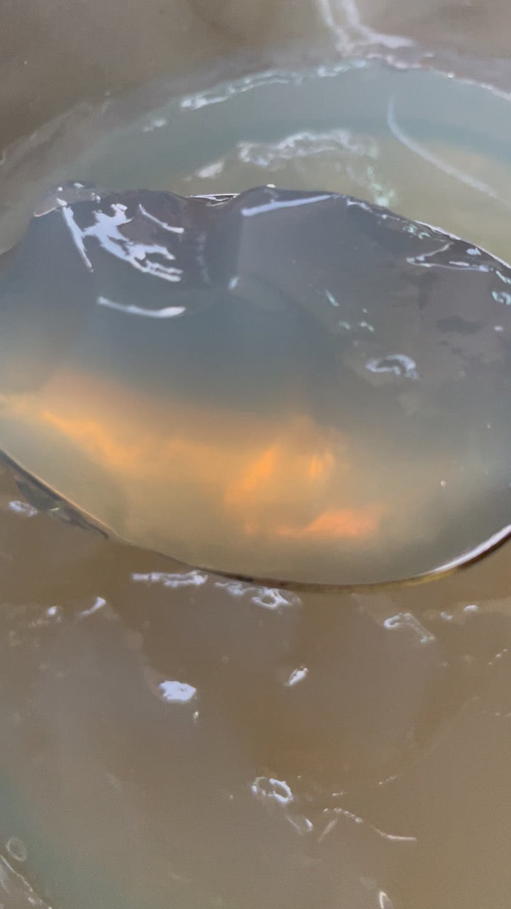 BONE BROTH JELLY - High Collagen Bone Broth
