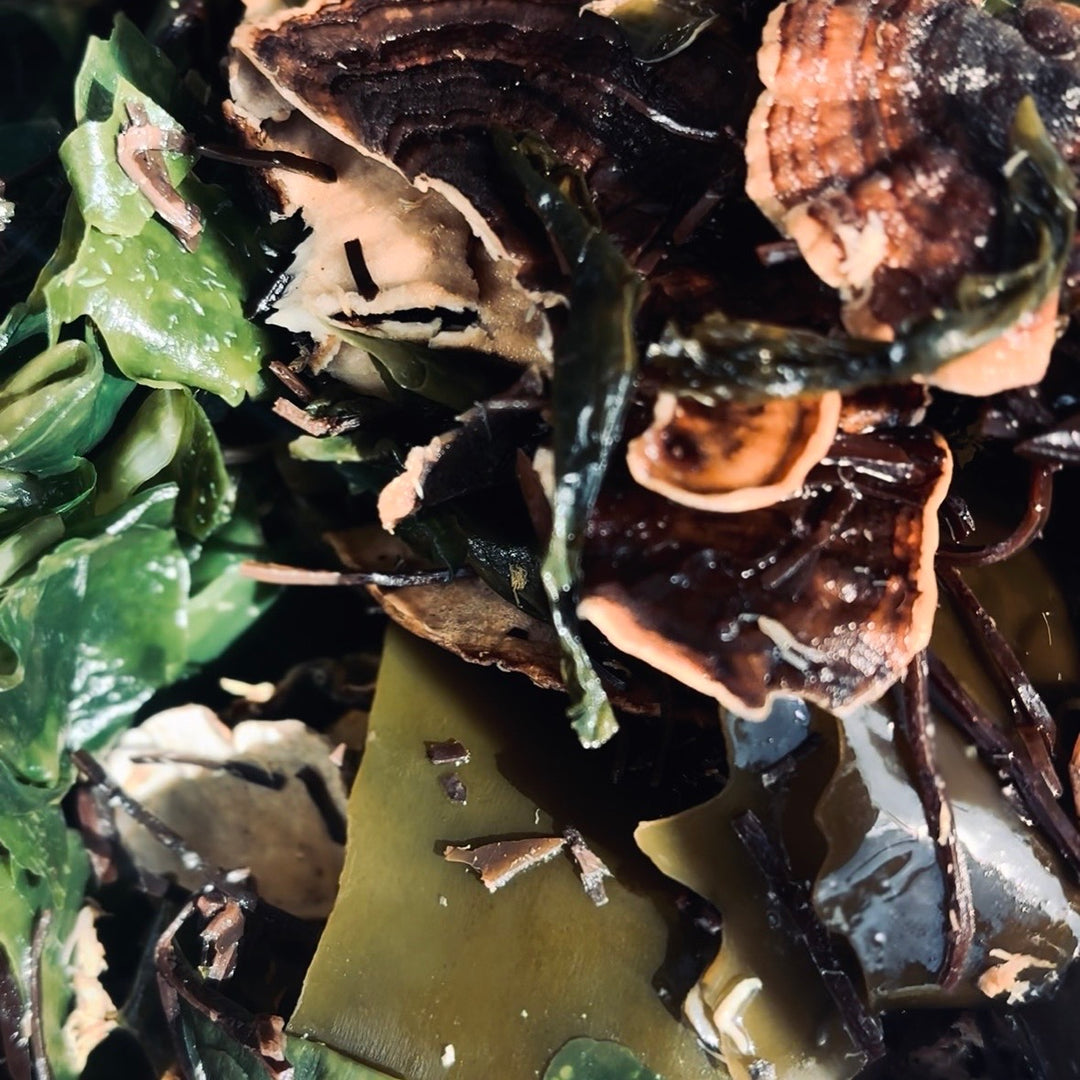 'Ama’s Sea Kelp & Mushroom' Wellness Broth