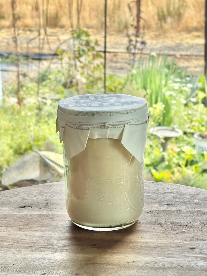 Just Beef Tallow