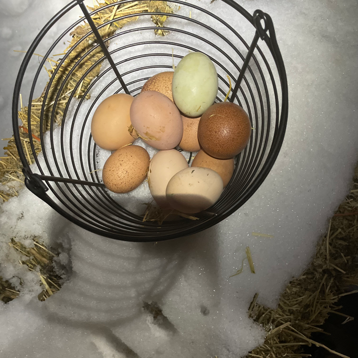 {AVAILABLE FOR LOCAL ORDERS ONLY} ‘Not Just’ Farm Fresh Gourmet Eggs image 2