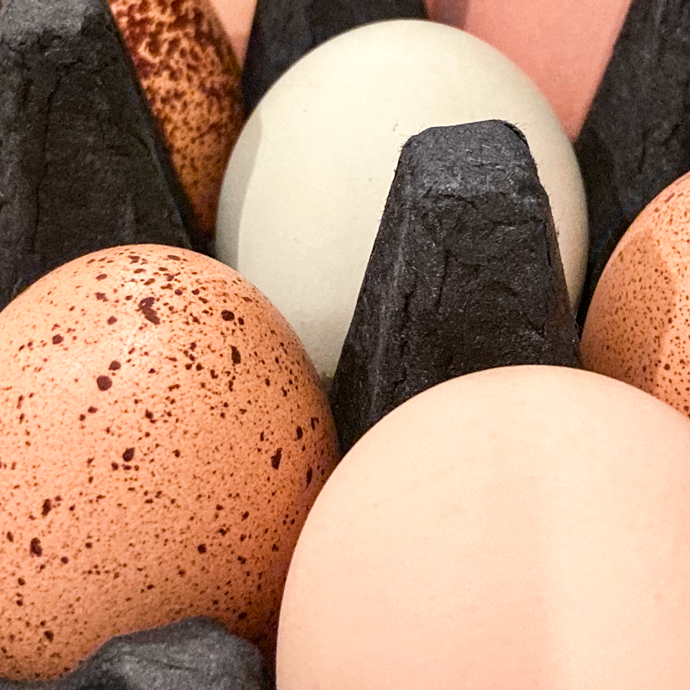 {AVAILABLE FOR LOCAL ORDERS ONLY} ‘Not Just’ Farm Fresh Gourmet Eggs image 5