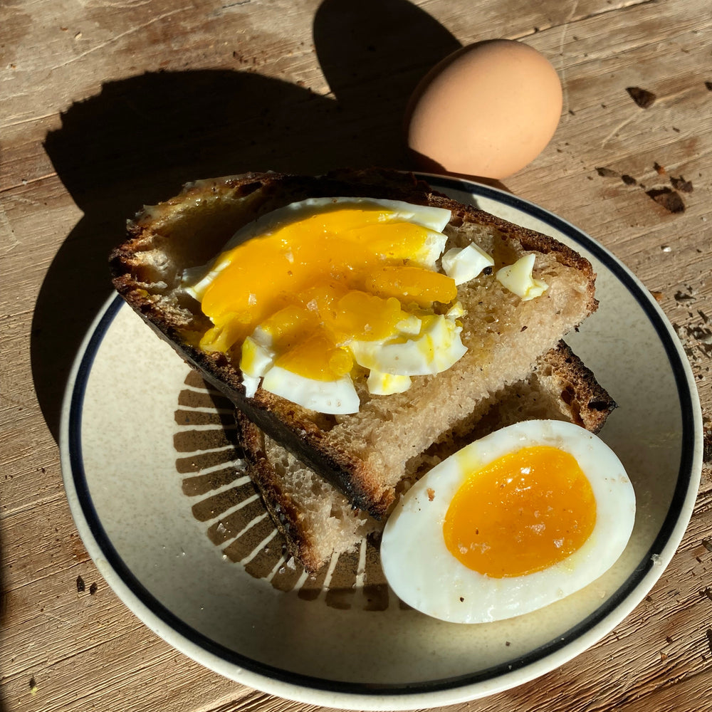 {AVAILABLE FOR LOCAL ORDERS ONLY} ‘Not Just’ Farm Fresh Gourmet Eggs image 7