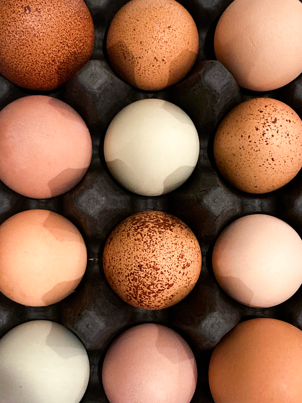 {AVAILABLE FOR LOCAL ORDERS ONLY} ‘Not Just’ Farm Fresh Gourmet Eggs image 0