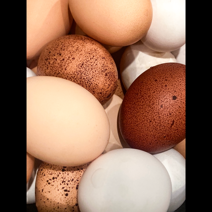 {AVAILABLE FOR LOCAL ORDERS ONLY} ‘Not Just’ Farm Fresh Gourmet Eggs image 4