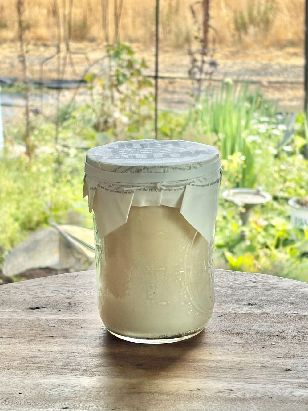 Jar of yogurt with a garden view in the background