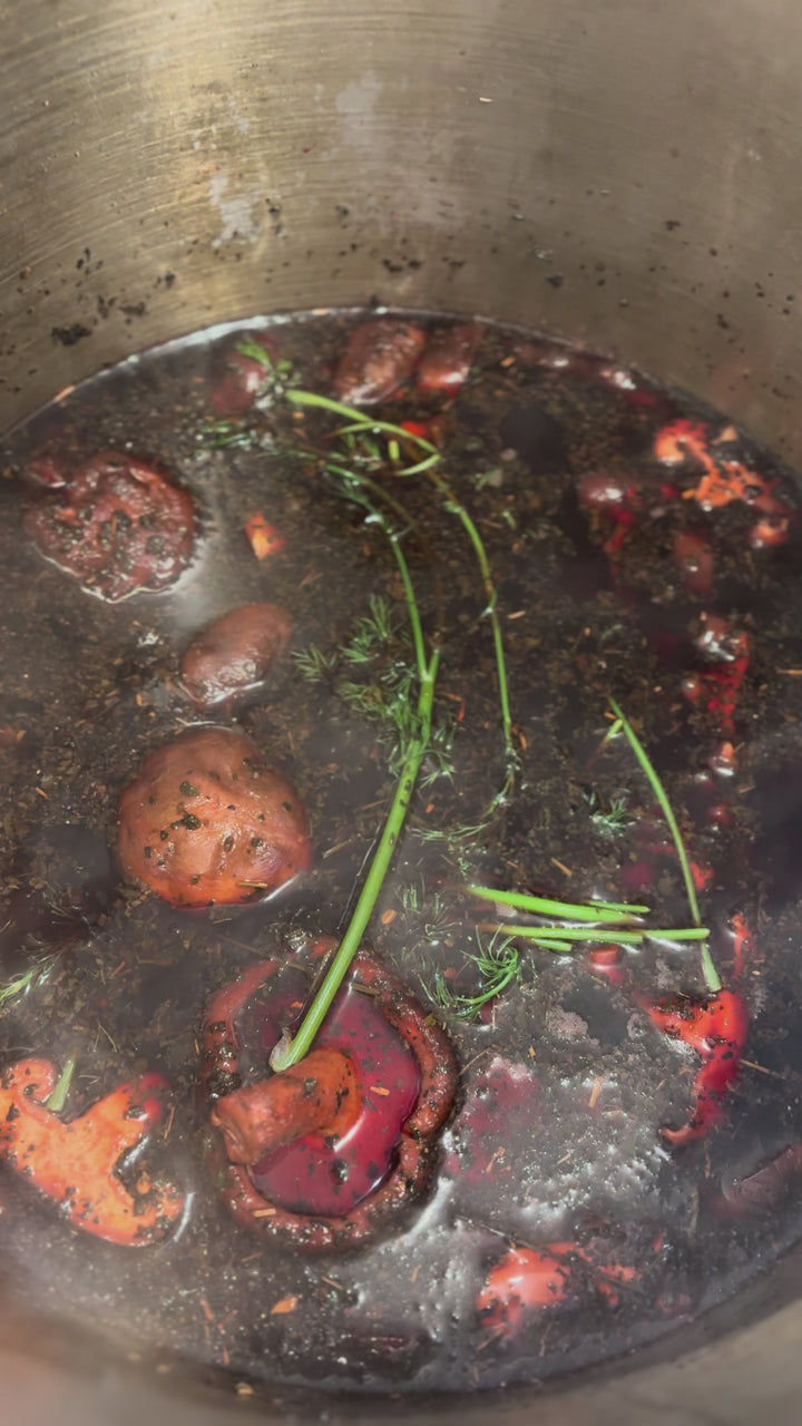 The DACHA *PREORDER THE DACHA - SHIPS APRIL 1*